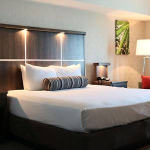 Luxus Zimmer mit Kingsize-Bett